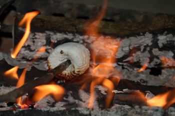 This photo of marshmellows being toasted over a campfire - a favorite camping activity - was taken by Concord, NH photographer Julia Freeman-Woolpert.